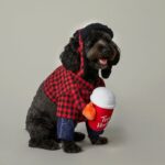 Lumberjack Pet Costume